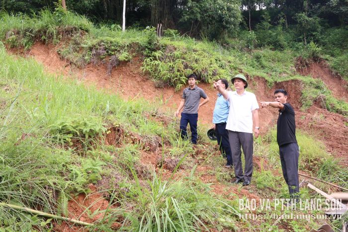 Vị trí sạt lở đất phía sau nhà hộ anh Hoàng Văn Quỳnh, khối Yên Thượng