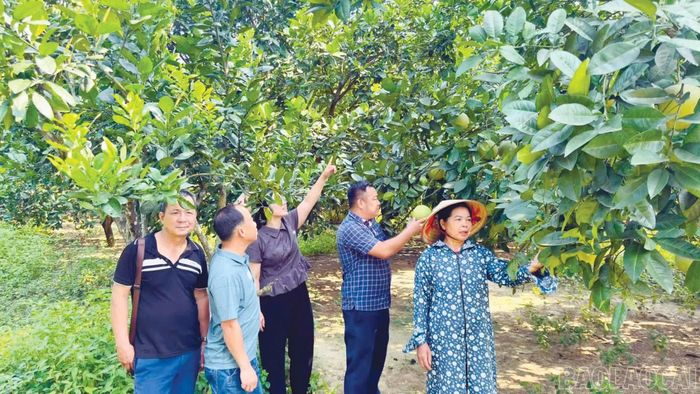 Thước đo duy nhất là những chuyển biến rõ rệt trong đời sống kinh tế - xã hội của địa phương.