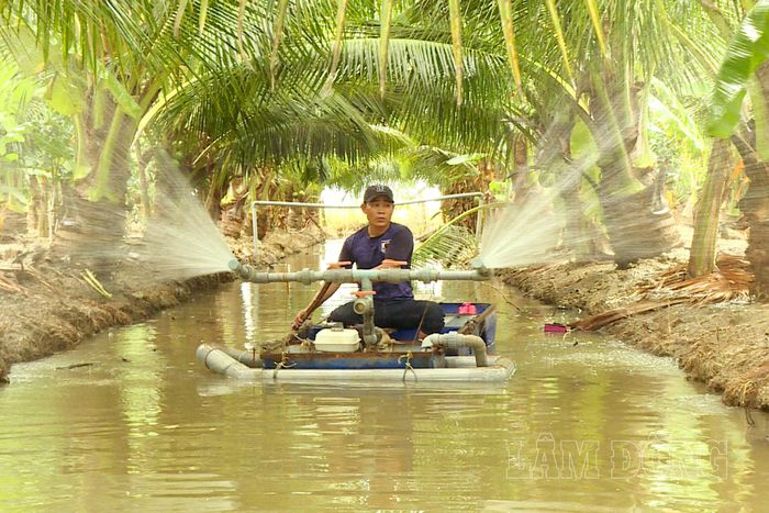 Anh Tạ Văn Thuyết tự sáng tạo thuyền tưới từ hệ thống mương sẵn có, giúp giảm công sức và thời gian chăm sóc vườn dừa và hoa màu.