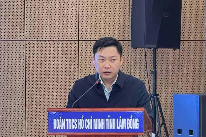 Anh Trần Việt Anh, Phó Bí thư Tỉnh Đoàn phát biểu khai mạc hội nghị