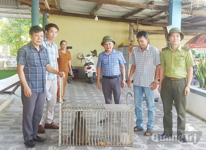 Đại diện UBND xã Quảng Trạch và Hạt Kiểm lâm Quảng Trạch bàn giao cá thể khỉ vàng cho Trung tâm Cứu hộ, bảo tồn và phát triển sinh vật, Vườn Quốc gia Phong Nha-Kẻ Bàng - Ảnh: B.T
