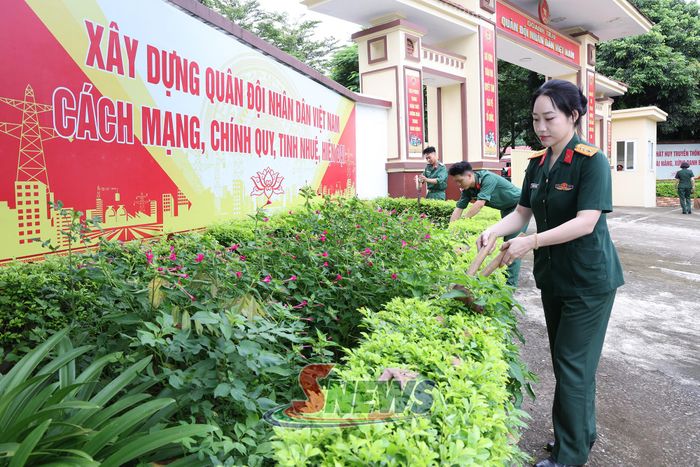 Cán bộ, chiến sĩ Trung đoàn 754 chỉnh trang khuôn viên đơn vị