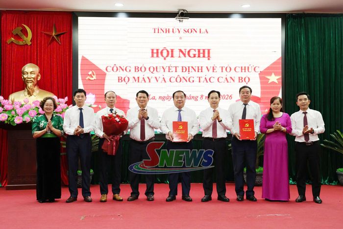 Các đồng chí trong Thường trực Tỉnh ủy trao quyết định cho Đảng bộ MTTQ, các đoàn thể tỉnh.