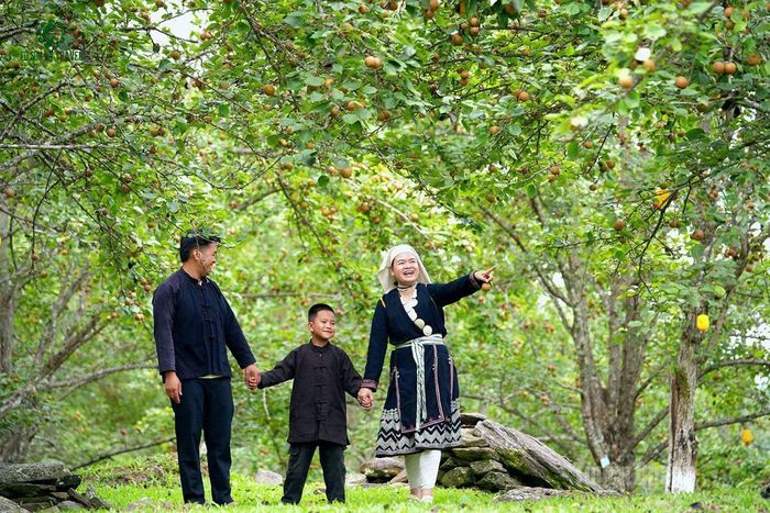 Du khách trải nghiệm vườn lê xã Hồng Thái.