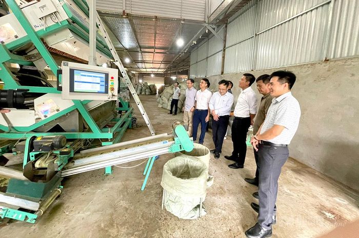 Các đại biểu tham quan hệ thống máy tách màu trà của Công ty TNHH Chè Phú Mỹ (phường Mỹ Lâm).