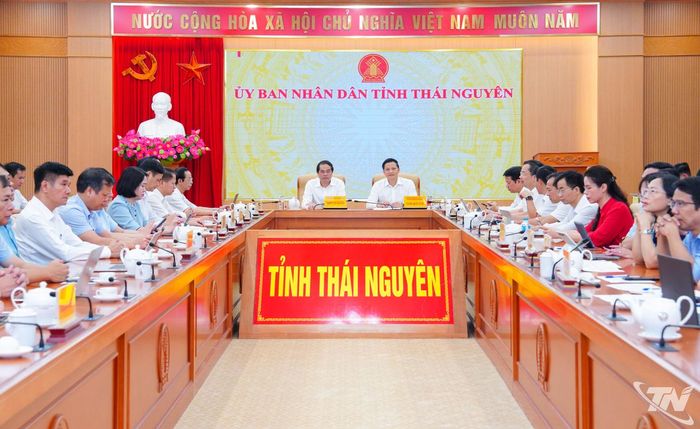 Quang cảnh Hội nghị tại điểm cầu tỉnh Thái Nguyên.