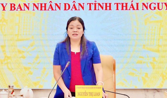 Đồng chí Phó Chủ tịch UBND tỉnh kết luận Hội nghị.