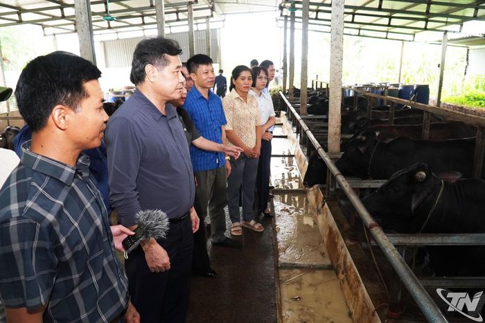Kiểm tra, đánh giá các mô hình khuyến nông tại Thái Nguyên.
