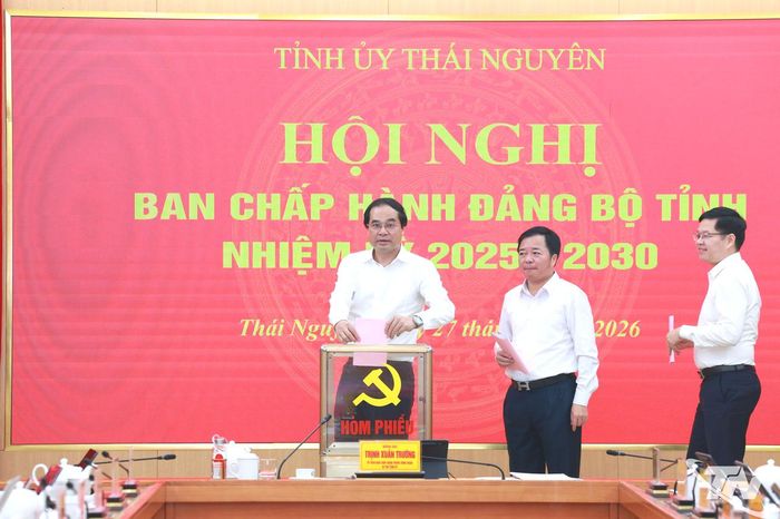 Các đại biểu bỏ phiếu thông qua các nội dung tại Hội nghị Ban Chấp hành Đảng bộ tỉnh.