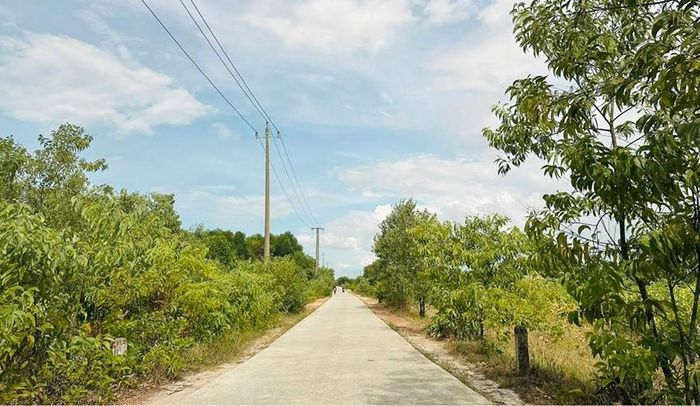  Hạ tầng giao thông và hệ thống cây xanh dẫn vào các khu nghĩa trang tập trung.
