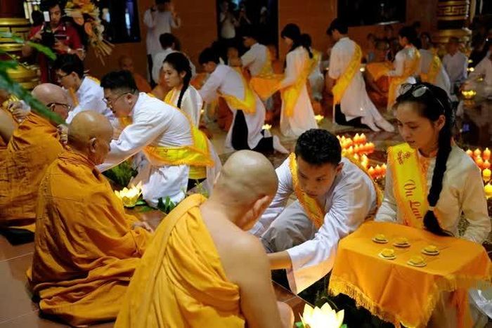 Cài hoa hồng Vu lan