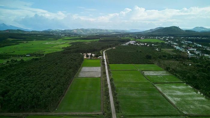 Từ những cánh đồng, nông sản địa phương được tạo ra và đưa đến gần hơn với người tiêu dùng.