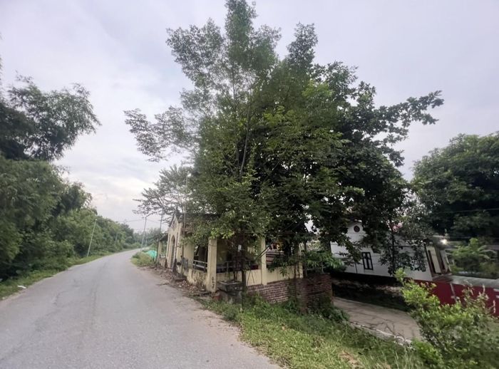Miếu Nghè Yên Thượng nhìn từ phía làng, phía trước hướng ra dòng Phó Đáy, nơi lưu giữ một phần ký ức văn hóa của Yên Thượng xưa.