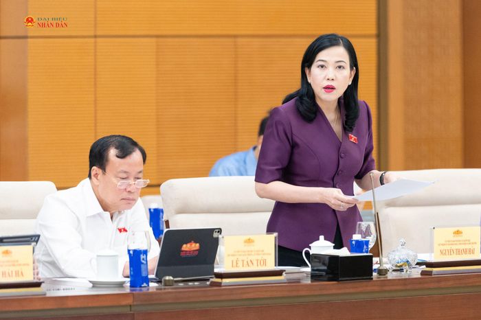 Chủ nhiệm Ủy ban Khoa học, Công nghệ và Môi trường Nguyễn Thanh Hải phát biểu tại phiên họp