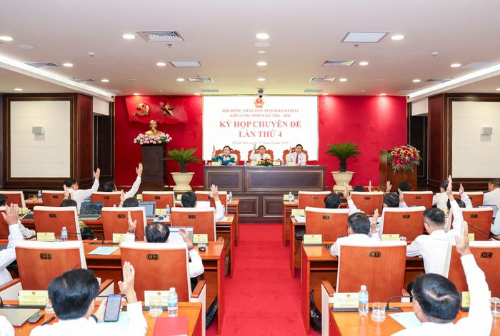 Các đại biểu biểu quyết thông qua nghị quyết