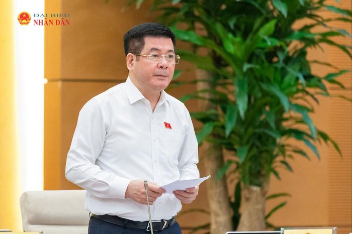 Phó Chủ tịch Quốc hội Nguyễn Hồng Diên phát biểu