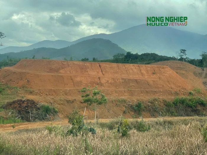 Tình trạng một số diện tích trong khu vực dự án bị san ủi