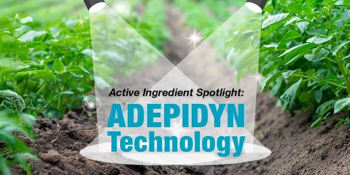 Theo Syngenta, các thành tựu nổi bật gắn với bà Corsi gồm hoạt chất trừ nấm pydiflumetofen, được thương mại hóa dưới công nghệ ADEPIDYN
