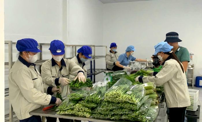Các địa phương tuyên truyền, phổ biến pháp luật về sản xuất, kinh doanh nông, lâm, thủy sản an toàn. Ảnh: PV