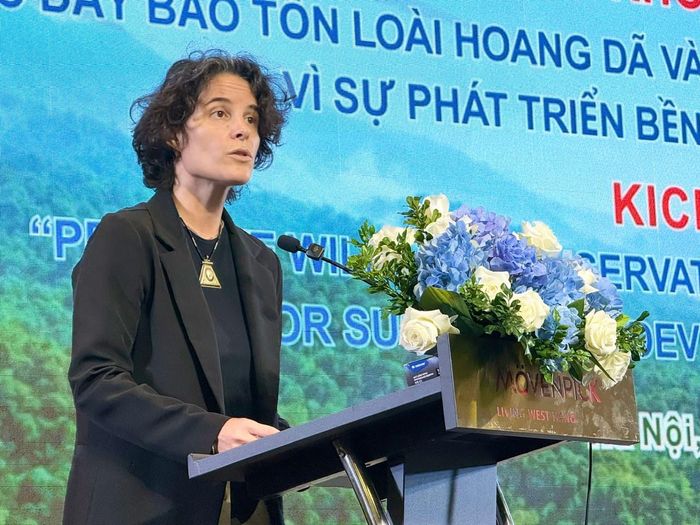 Phó Trưởng Đại diện Thường trú UNDP tại Việt Nam Francesca Nardini. Ảnh: Kiều Thoan Thu