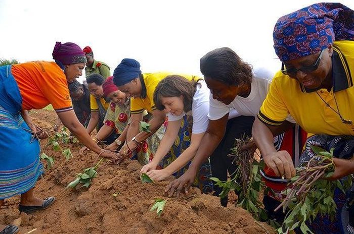 Đất khỏe là nền tảng của các hệ thống lương thực có khả năng chống chịu và bền vững, giúp bảo đảm nguồn cung thực phẩm cho tương lai. Ảnh: UNCCD
