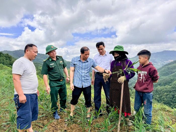 Cán bộ xã Lũng Cú xuống nương cùng dân, tìm hướng phát triển sinh kế để người dân yên tâm bám bản. 