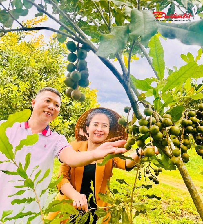 Bà Võ Thị Minh Sinh - Phó Bí thư Tỉnh uỷ, Chủ tịch Ủy ban MTTQ tỉnh Nghệ An thăm vườn cây mắc ca của ông Dương Tiến Thành. Ảnh: LL