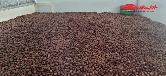 Hạt cây mắc ca được chế biến ngay tại chỗ với nhiều sản phẩm đa dạng. Ảnh: ĐB