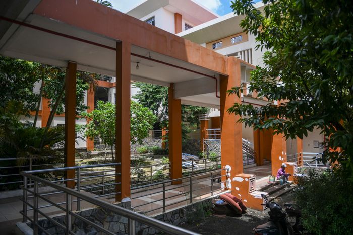 Quá trình cải tạo trường học cũng có sự góp sức của đội ngũ cán bộ, giáo viên nhà trường. Bà Nguyễn Thị Túy Phượng cho biết trong thời gian qua, thầy cô nhà trường đã chủ động dọn dẹp, chỉnh trang, trồng cây, trồng hoa để tạo cảnh quan khang trang cho ngôi trường mới. Những hạng mục cây xanh của trụ sở UBND cũ cũng được giữ nguyên hiện trạng để tạo mảng xanh, bóng mát cho học sinh học tập, sinh hoạt.