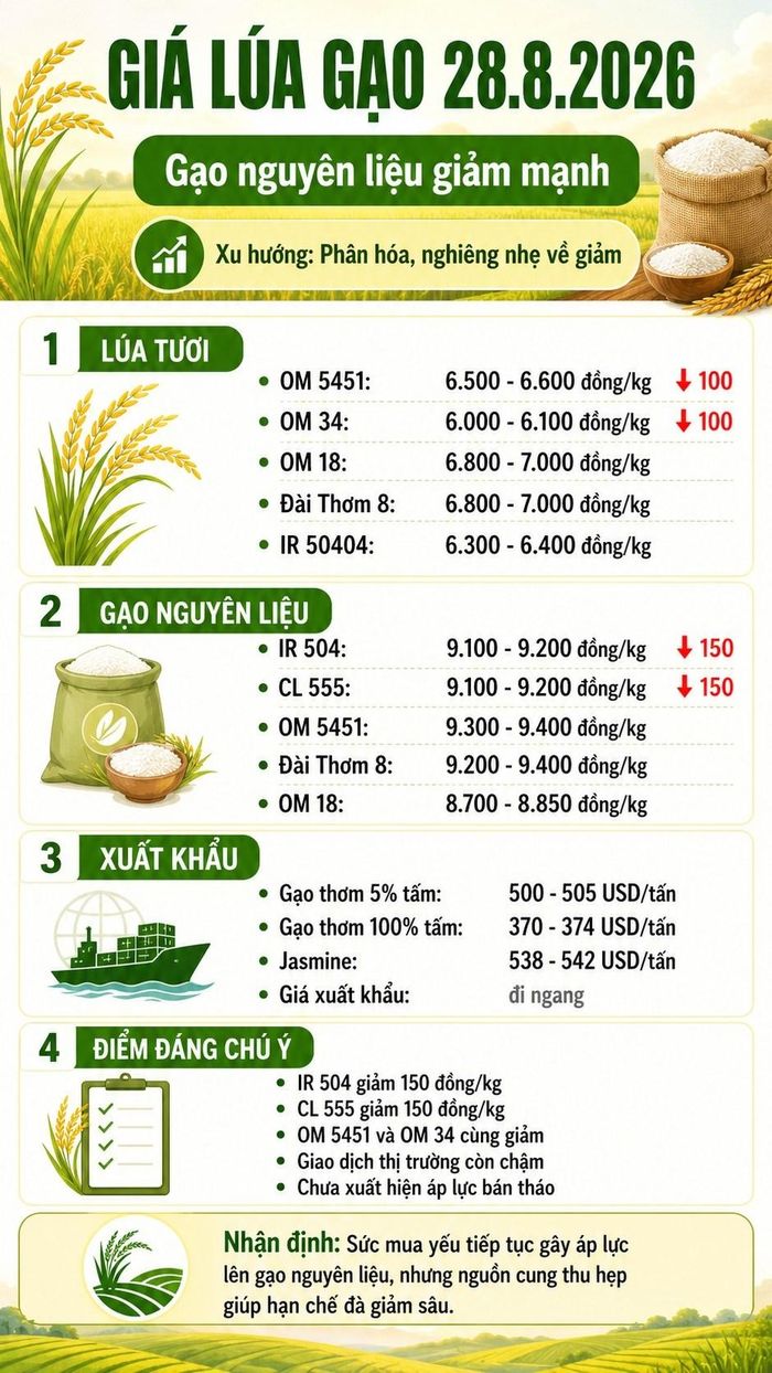 Giá thực tế có thể chênh lệch theo địa phương, chất lượng hàng và thời điểm giao dịch.