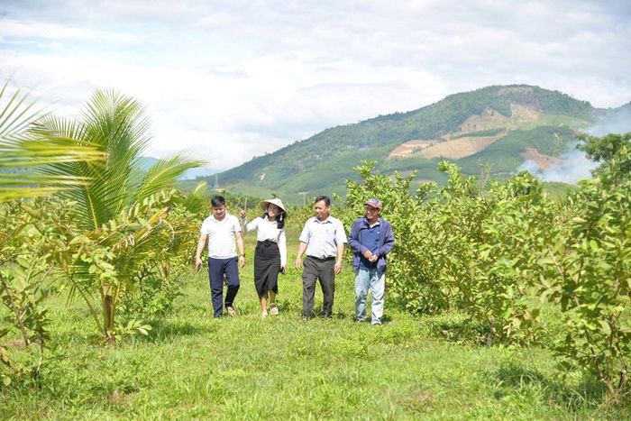 Những vườn cây phủ màu xanh lên vùng đất từng góp sức bảo đảm lương thực cho kháng chiến