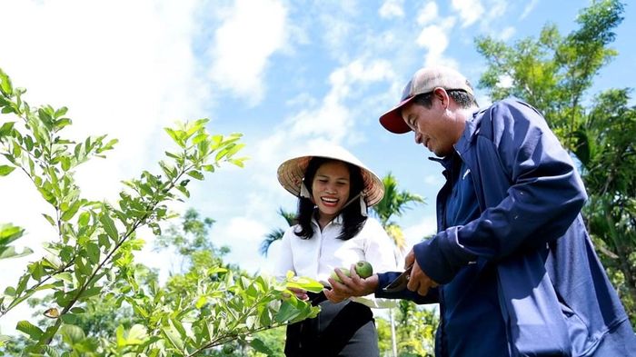 Người dân thôn Làng Trá chăm sóc vườn cây, từng bước chuyển đổi cơ cấu sản xuất, nâng cao thu nhập