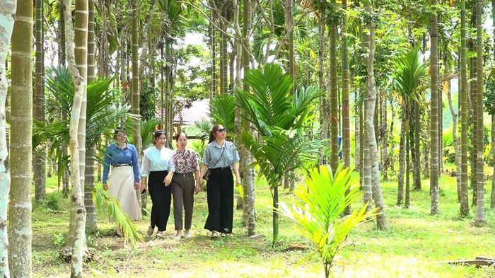 Vùng đất Nông trại Phạm Văn Đồng được định hướng gắn bảo tồn giá trị lịch sử, văn hóa với phát triển du lịch