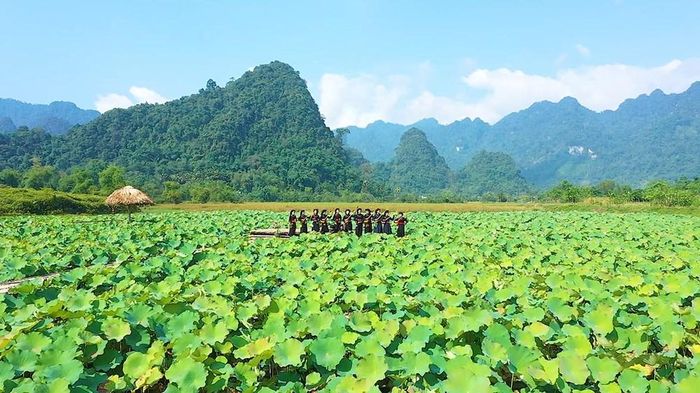 Vẻ đẹp làm "say lòng" du khách ở Thượng Lâm