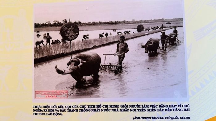 Triển lãm diễn ra đến ngày 10.10
