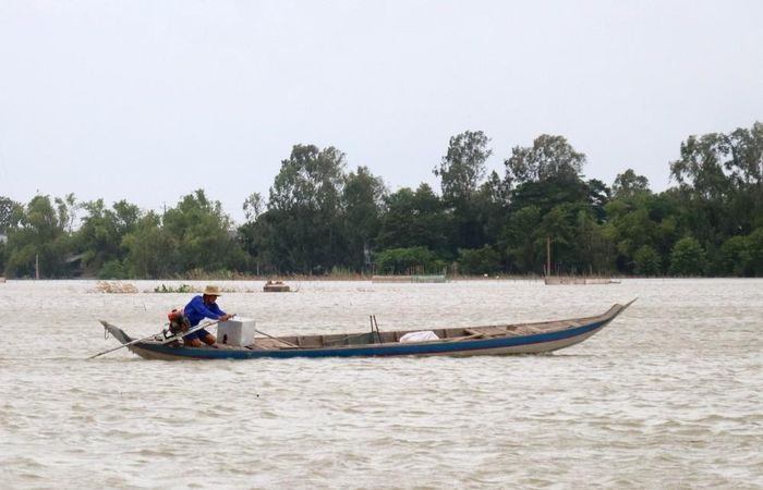 Người dân xã Phú Hữu (tỉnh An Giang) mưu sinh trên cánh đồng ngập lũ. Ảnh: Công Mạo-TTXVN