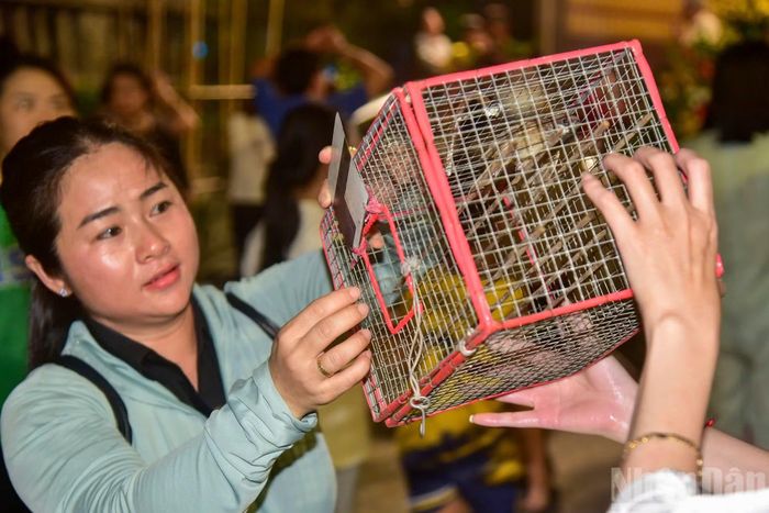 Nghi thức thả chim phóng sinh được tổ chức trong mùa Vu Lan, gửi gắm mong ước bình an, hướng thiện và lan tỏa tình yêu thương.