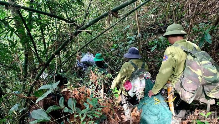 Dù điều kiện khó khăn, mức hỗ trợ còn thấp nhưng các hộ nhận khoán rất tích cực trong công tác tuần tra bảo vệ rừng.