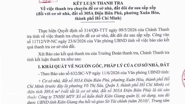 Kết luận thanh tra.