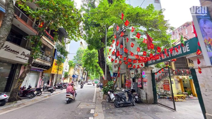 Nét đẹp của phố phường ngày Tết Độc lập.
