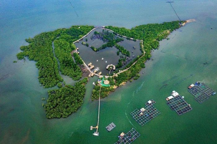  Gò Găng một vùng đất nằm trong dải cửa sông của xã Long Sơn. Ảnh: Q.V 