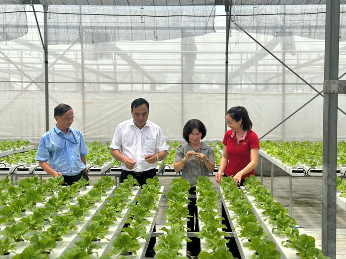 Khu nông nghiệp công nghệ cao TPHCM nhân giống thành công nhiều loại rau, hoa có giá trị cao 