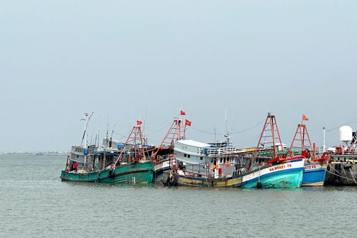  Các tàu cá được dẫn giải về cảng Hải đội 301, tại phường Phước Thắng, TPHCM để tiếp tục điều tra làm rõ 