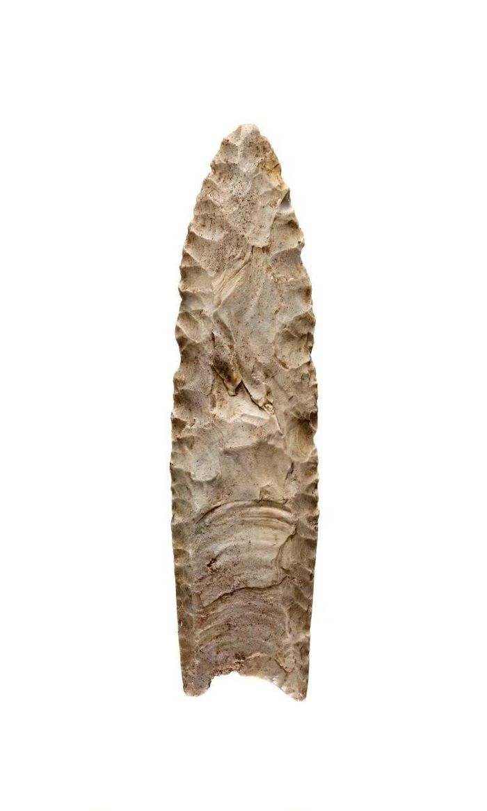 Ảnh: si.edu