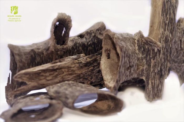 Ảnh: hgagarwood