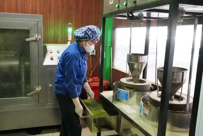 HTX chè La Bằng sản xuất sản phẩm bột Matcha.