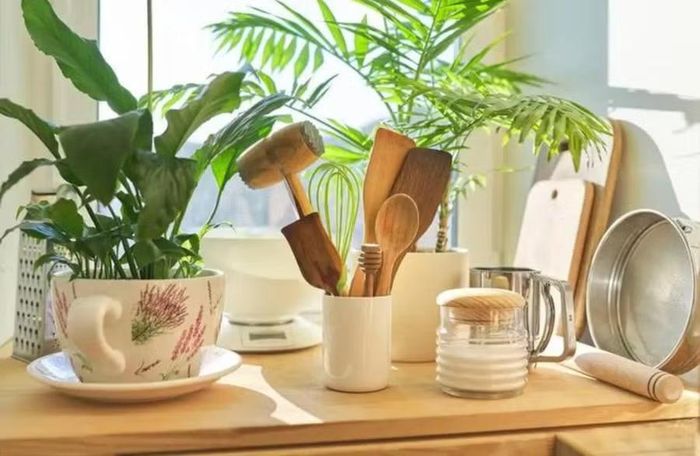 Giấy bìa công nghiệp dễ hấp thụ và giữ lại các loại khí độc hại. (Ảnh: ITN).