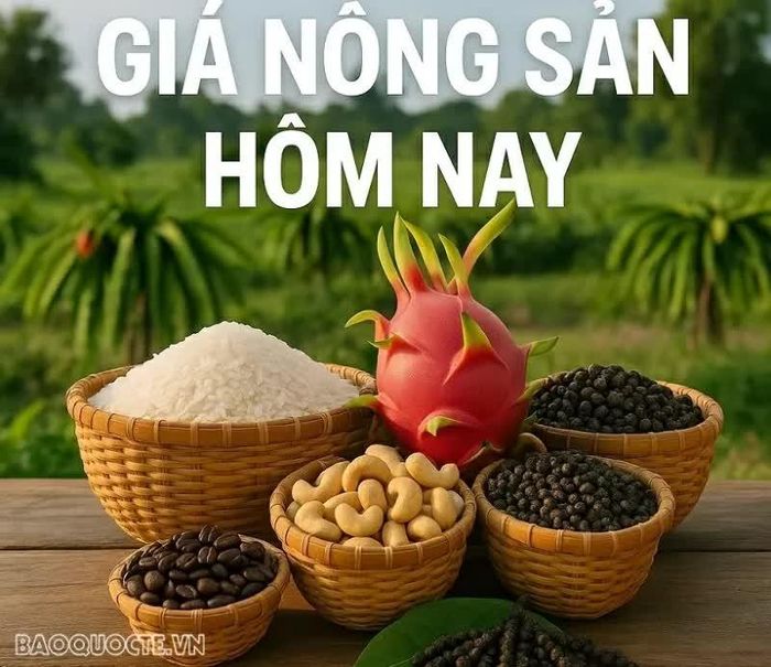Giá nông sản hôm nay 28/8/2026: Giá cà phê giảm sâu không dừng, nền giá trong nước vẫn duy trì ở mức cao; Mỹ sẽ thiệt hại nếu bỏ PNTR với Trung Quốc.