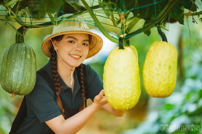 Bà chủ 9X bén duyên với nông nghiệp công nghệ cao