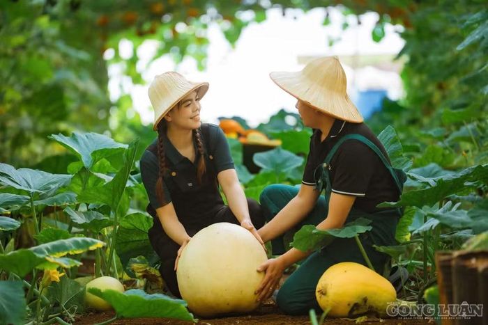 Mô hình kết hợp giữa nông nghiệp công nghệ cao và du lịch trải nghiệm đang mở ra hướng đi mới cho những người trẻ khởi nghiệp trên vùng đất được ví như “Đà Lạt thứ hai”